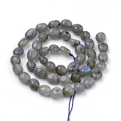 Natural Labradorite Beads Strands&nbsp;X-G-Q952-12-6x8