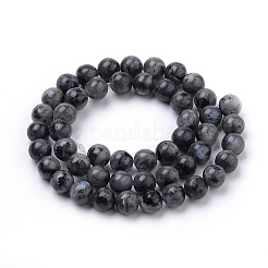 Natural Larvikite Beads Strands&nbsp;X-G-S259-06-12mm