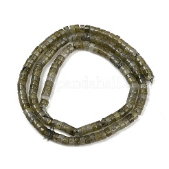 Natural Labradorit Beads Strands&nbsp;G-H230-78