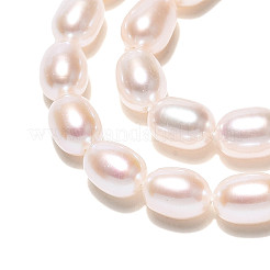 Natural Cultured Freshwater Pearl Beads Strands&nbsp;PEAR-N024-08