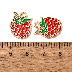 Fruits Alloy Enamel Pendants&nbsp;FIND-D304-03K-KCG