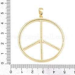 Brass Micro Pave Cubic Zirconia Pendants&nbsp;KK-C162-060G