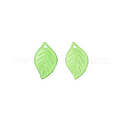 Transparent Acrylic Pendants&nbsp;TACR-T012-06