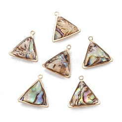 Natural Paua Shell Pendants&nbsp;KK-K252-07G-02