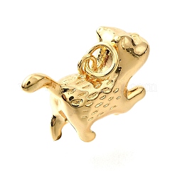 Brass Pendants&nbsp;KK-D356-12G