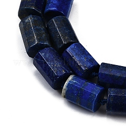 Natural Lapis Lazuli Dyed Beads Strands&nbsp;G-G162-D15-02