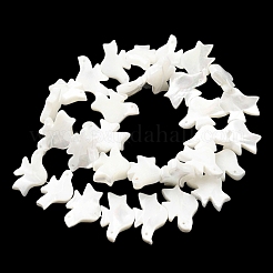 Natural Trochid Shell/Trochus Shell Beads Strands&nbsp;SSHEL-R145-04