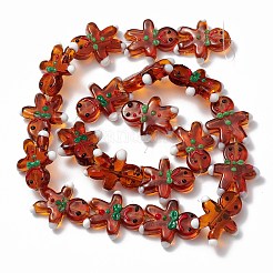 Handmade Lampwork Beads Strands&nbsp;LAMP-N021-025