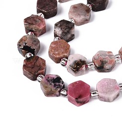 Natural Rhodonite Beads Strands&nbsp;G-P534-A16-01