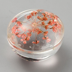 Transparent Glass Cabochons&nbsp;GLAA-WH0039-19G