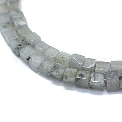 Natural Labradorite Beads Strands&nbsp;G-F631-C08