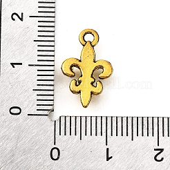 Tibetan Style Alloy Pendants&nbsp;LS-TIBE-L008-15AG