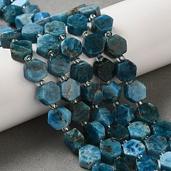 Natural Apatite Beads Strands&nbsp;G-P534-A02-02