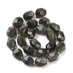 Natural Labradorite Beads Strands&nbsp;G-P541-A01-08