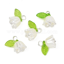 Acrylic with ABS Plastic Imitation Pearl Pendants&nbsp;PALLOY-JF05659-12