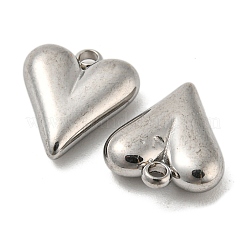 Non-Tarnish 304 Stainless Steel Charms&nbsp;STAS-L022-108P-07