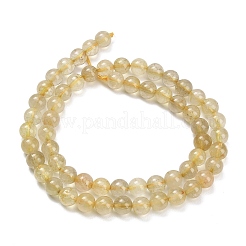 Natural Gold Rutilated Quartz Beads Strands&nbsp;G-H337-A04-03
