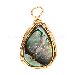 Natural Abalone Shell/Paua Shell Pendants&nbsp;PALLOY-JF00475-01