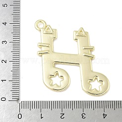 Alloy Pendants&nbsp;FIND-L025-09G