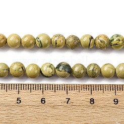 Natural Verdite Stone Beads Strands&nbsp;G-C242-03-6mm