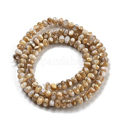Natural Freshwater Shell Beads Strands&nbsp;BSHE-G038-05