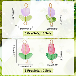 20 Sets 2 Styles Handmade Lampwork Connector Charms&nbsp;FIND-PH0017-40