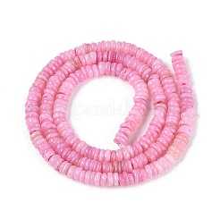 Natural Freshwater Shell Beads Strands&nbsp;SHEL-Q028-01E