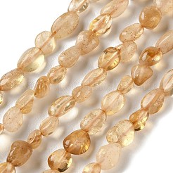 Natural Citrine(Heated) Beads Strands&nbsp;G-F827-A01-01