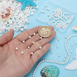 2 Strands Shell Pearl Beads Strands&nbsp;BSHE-ME0001-03