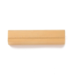 Ion Plating(IP) 304 Stainless Steel Magnetic Clasps with Glue-in Ends&nbsp;STAS-F276-05G-01