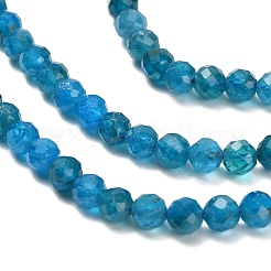 Natural Apatite Beads Strands&nbsp;G-Z106-A01-4mm