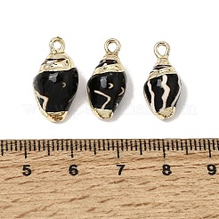 Brass & Natural Shell Pendants&nbsp;SH-CBA27C9-13
