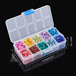 10 Colors Natural Shell Beads&nbsp;SHEL-NB0001-06