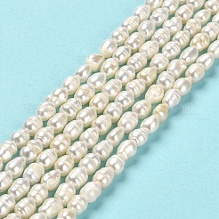 Natural Cultured Freshwater Pearl Beads Strands&nbsp;PEAR-E016-164