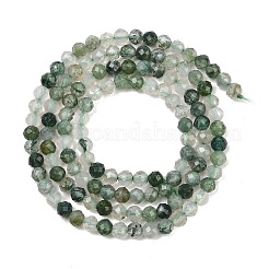 Natural Moss Agate Beads Strands&nbsp;G-J002-03H-A
