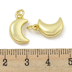 Brass Charms&nbsp;LS-KK-E114-11G
