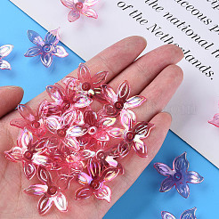 Transparent Acrylic Beads&nbsp;MACR-S373-102-C