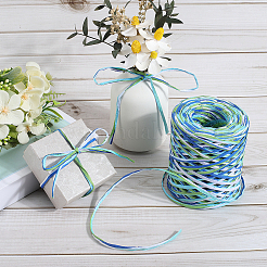 Raffia Paper Cords&nbsp;OCOR-WH20015-04A