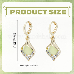 1Pair Alloy Hoop Earrings&nbsp;EJEW-LP0008-041