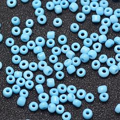 6/0 Glass Seed Beads&nbsp;SEED-J014-F6-43