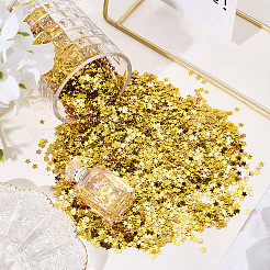 80G PVC Plastic Sequins Confetti&nbsp;AJEW-SP0001-99C