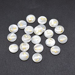 Shell Cabochons&nbsp;SSHEL-E568-A02