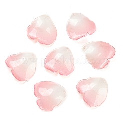 Acrylic Pendants&nbsp;MACR-K354-07B