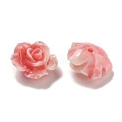 Synthetic Shell Dyed Carved Beads&nbsp;SHEL-I001-04