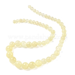 Natural Golden Silk Jade Graduated Beads Strands&nbsp;G-F830-A02-01