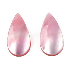 Natural Turbo Cornulus/Top Shells Cabochons&nbsp;SSHEL-N003-156B