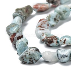 Natural Larimar Beads Strands&nbsp;G-G018-19