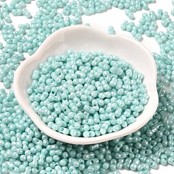 Opaque Colours Luster Glass Seed Beads&nbsp;X1-SEED-B001-01A-08