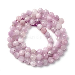 Natural Kunzite Beads Strands&nbsp;G-P587-B01-01