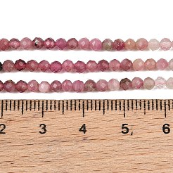 Natural Multicolor Tourmaline Beads Strands&nbsp;G-H266-15B-01